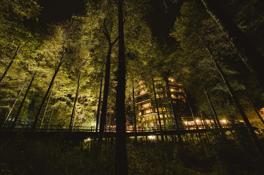 פוארטו פוי Huilo Huilo Nothofagus Hotel & Spa מראה חיצוני תמונה